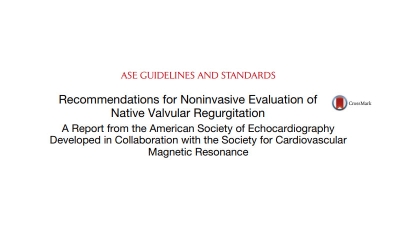 Recommendations for Noninvasive Evaluation of Native Valvular Regurgitation